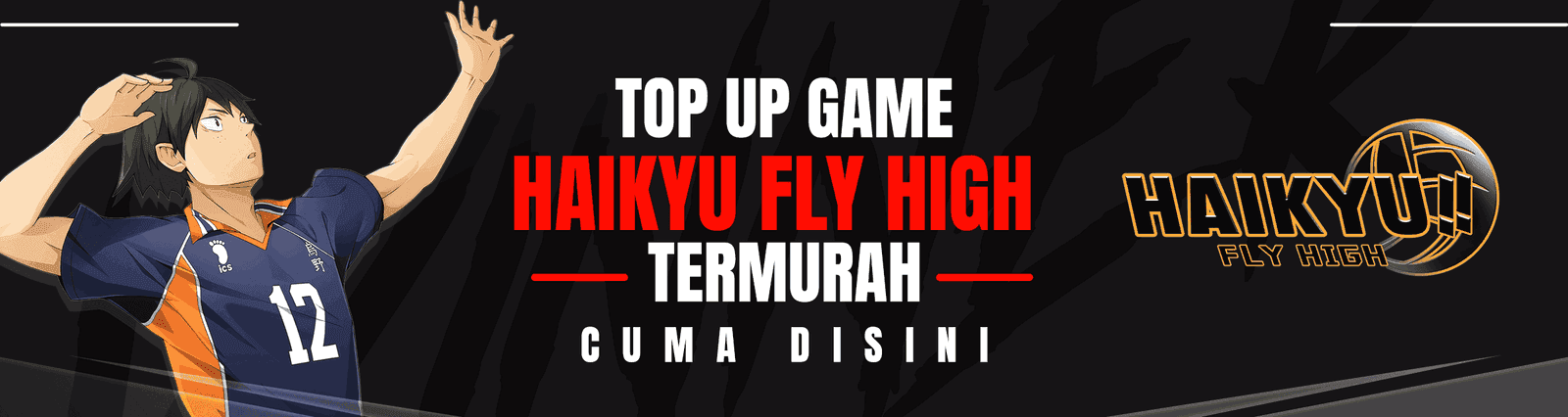 Haikyu Fly High Banner